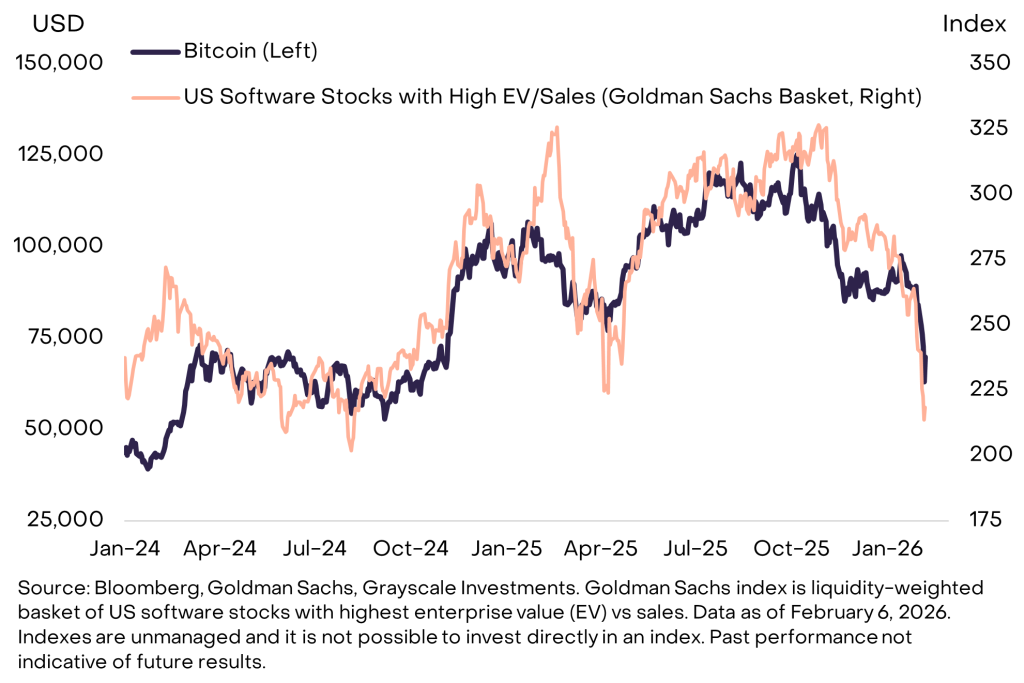 bitcoin vs us software stock
