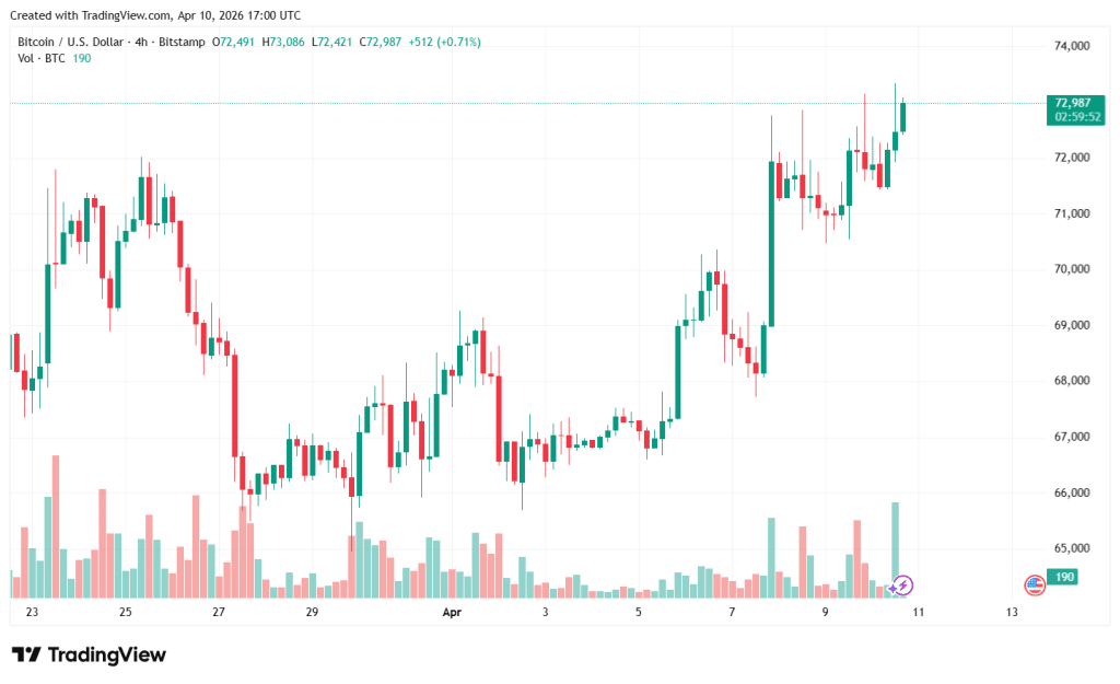 Bitcoin price after launch of MSBT ETF debut