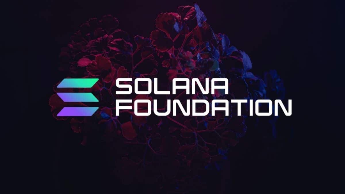 Solana USDT Aave recovery support