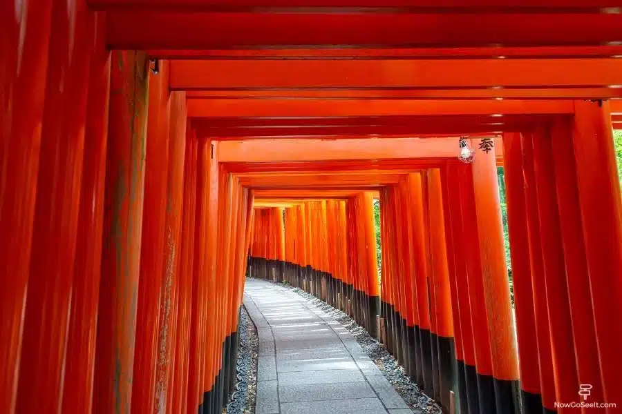 Bank of Japan policy