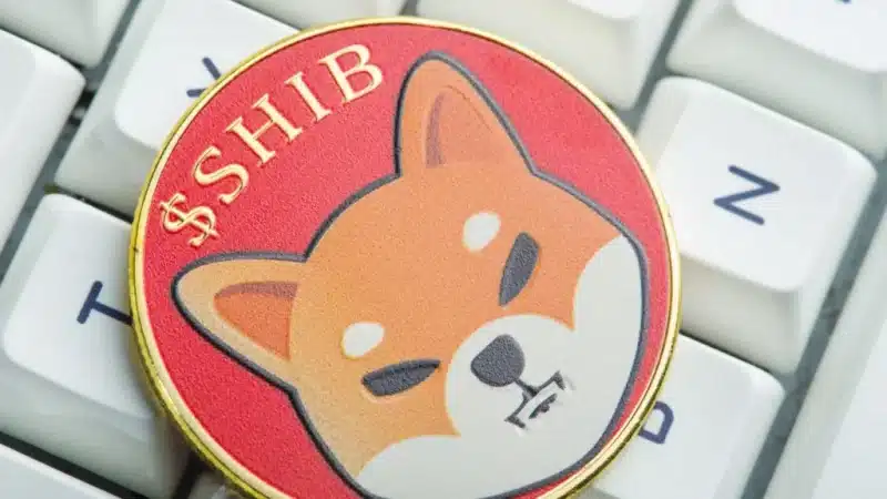 Shiba Inu price