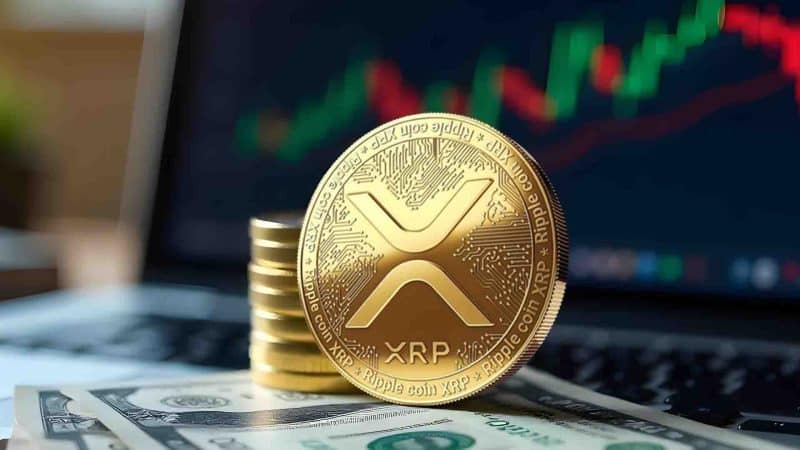 xrp whatsapp