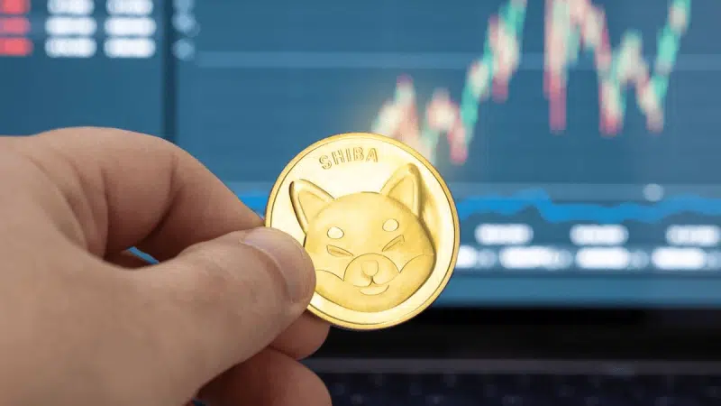 Shiba Inu exchange flow