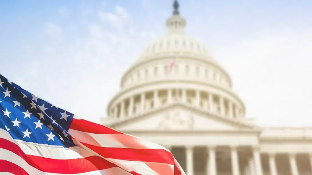 US government AI