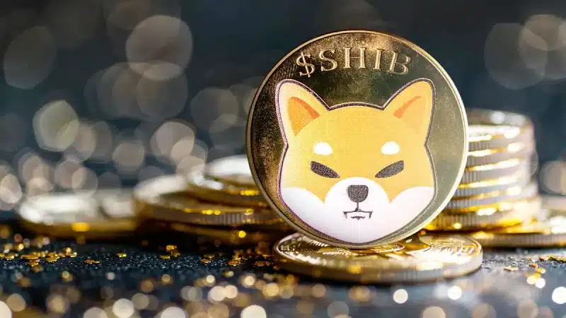 Shiba Inu